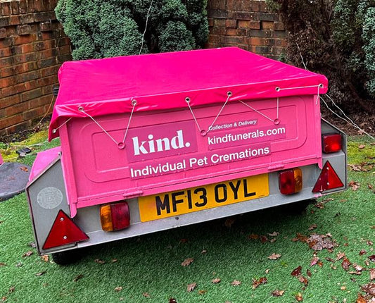 The pink Kind Trailer